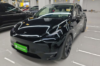 特斯拉 Model Y 2022款 Performance高性能全轮驱动版