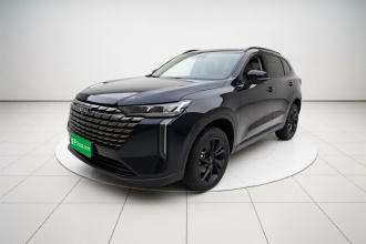 哈弗H6 2024款 1.5T 两驱Max