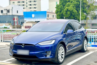 特斯拉 Model X 2019款 长续航版