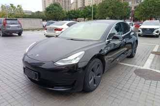 特斯拉 Model 3 2020款 改款 标准续航后驱升级版
