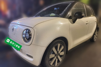 欧拉黑猫 2021款 351km 豪华型