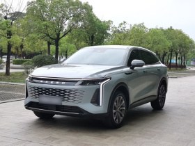 星途瑶光 2023款 400T 两驱舒享版