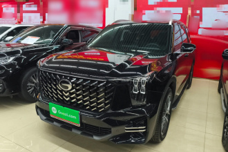 广汽传祺 传祺GS8 2025款 领航系列 2.0TGDI 两驱豪华版 5座