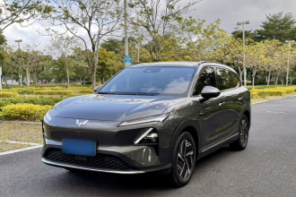 五菱汽车 五菱星光S 2024款 510km 旗舰型