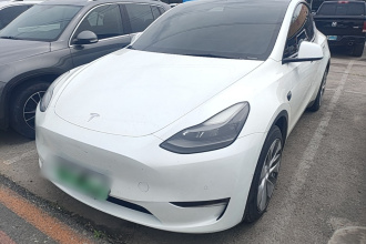 特斯拉 Model Y 2021款 标准续航后驱版
