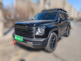 哈弗猛龙新能源 2024款 Hi4 145 Pro