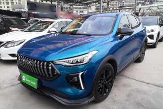 哈弗赤兔 2021款 激擎版 1.5T 黄金兔