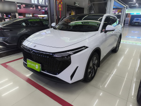 启辰大V DD-i 2023款 110km iE版