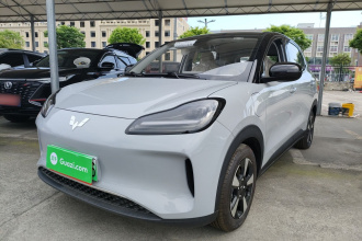 五菱汽车 五菱缤果PLUS 2024款 401km 五座版