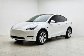 特斯拉 Model Y 2021款 标准续航后驱版