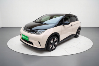 比亚迪 海豚 2023款 401km 骑士版