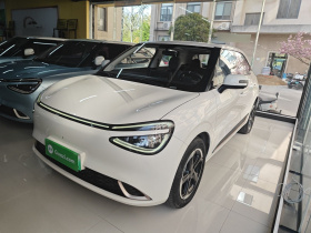 东风纳米 纳米01 2024款 430 Plus智+