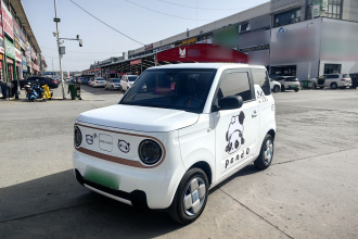 吉利银河 2024款 熊猫mini 200km 耐力熊