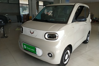 五菱汽车 宏光MINIEV 2024款 第三代 215km 青春版