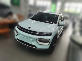 东风纳米EX1 2023款 PRO 轻风版闪电型