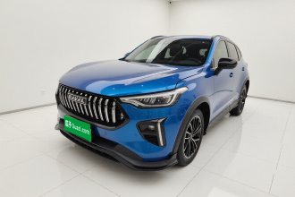 哈弗赤兔 2021款 激擎版 1.5T 黄金兔