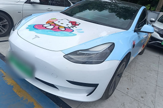 特斯拉 Model 3 2022款 后轮驱动版