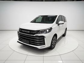 上汽大通MAXUS 大通G50 2021款 PLUS 1.5T 自动适航版