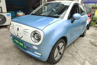欧拉黑猫 2021款 301km 基础型