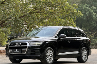 奥迪Q7  45 TFSI 技术型