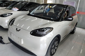 五菱汽车 五菱缤果 2024款 333km 灵犀互联款