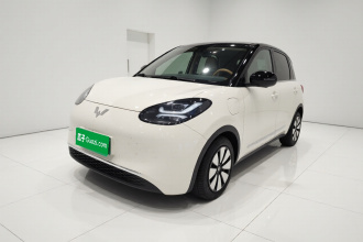 五菱汽车 五菱缤果 2025款 410km 灵犀尊享款