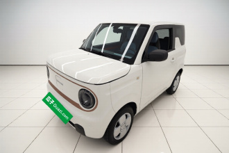 吉利银河 2023款 熊猫mini 200km 耐力熊