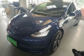 特斯拉 Model 3(进口) 2019款 长续航后驱版