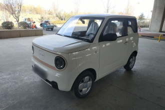 吉利银河 2024款 熊猫mini 200km 耐力熊