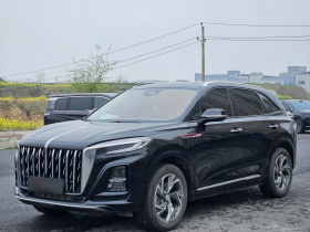 红旗HS3 PHEV 2024款 115km 劲为版
