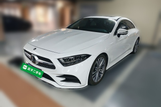 奔驰CLS 2021款 CLS 300 动感型