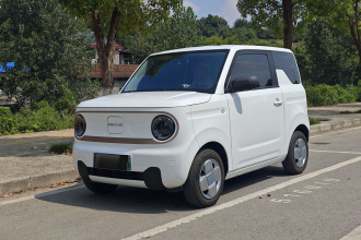 吉利银河 2024款 熊猫mini 200km 耐力熊