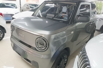 吉利银河 2024款 熊猫mini 200km 耐力熊