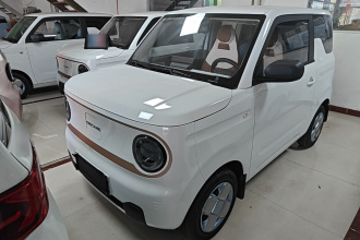 吉利银河 2024款 熊猫mini 200km 耐力熊