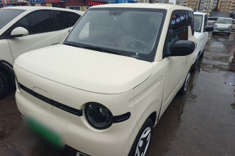 吉利银河 2025款 熊猫mini 210km 元气熊