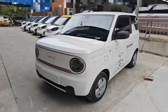 吉利银河 2024款 熊猫mini 200km 耐力熊