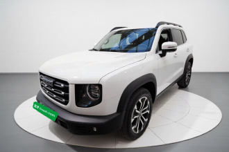 哈弗大狗 2022款 1.5T DCT两驱边牧版
