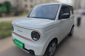吉利银河 2024款 熊猫mini 200km 耐力熊