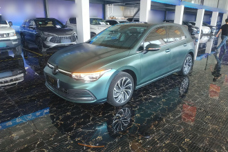 大众 高尔夫 2021款 280TSI DSG Pro