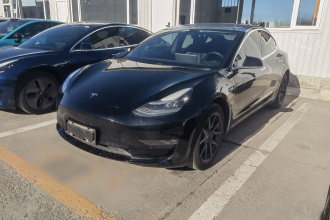 特斯拉 Model 3(进口) 2019款 长续航后驱版