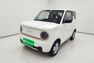 吉利银河 2024款 熊猫mini 200km 耐力熊