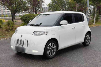 欧拉白猫 2020款 305km 豪华型