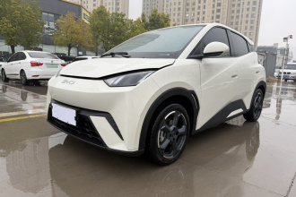 比亚迪 海鸥 2024款 荣耀版 405km 飞翔版