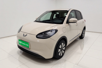 五菱汽车 五菱缤果 2023款 333km 悦享+款