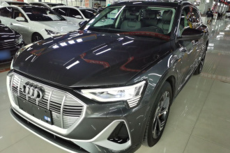 奥迪e-tron 2021款 50 quattro 臻选型