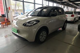 五菱汽车 五菱缤果 2024款 203km 轻享款