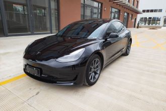 特斯拉 Model 3 2021款 标准续航后驱升级版 3D6