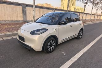 五菱汽车 五菱缤果 2024款 333km 灵犀互联款