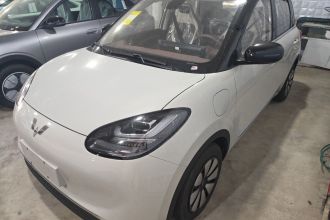 五菱汽车 五菱缤果 2025款 333km 悦享款