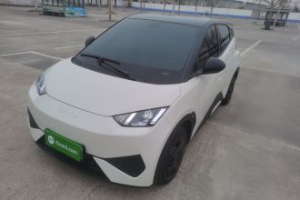 比亚迪 海鸥 2025款 智驾版 305km 活力版